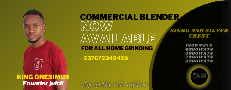 COMMERCIAL BLENDER (1)