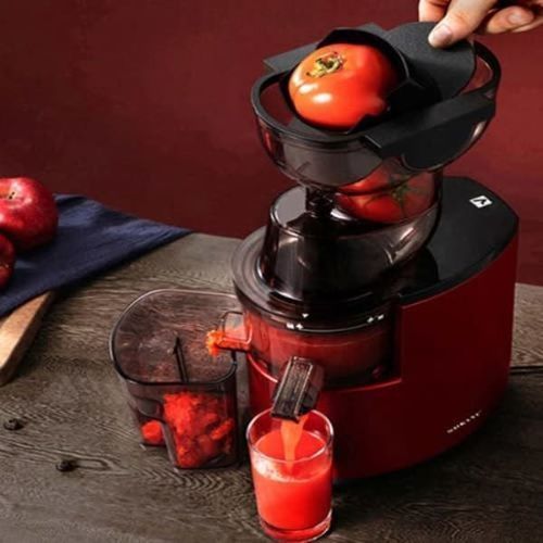 Sokany Large Slow Juicer - Image 4